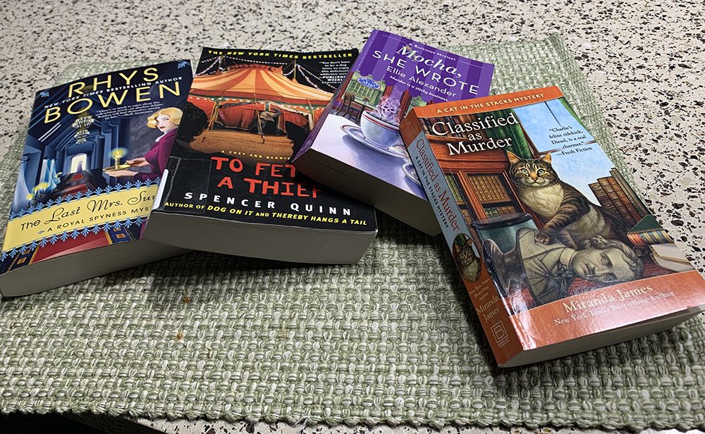 cozy books 1000px
